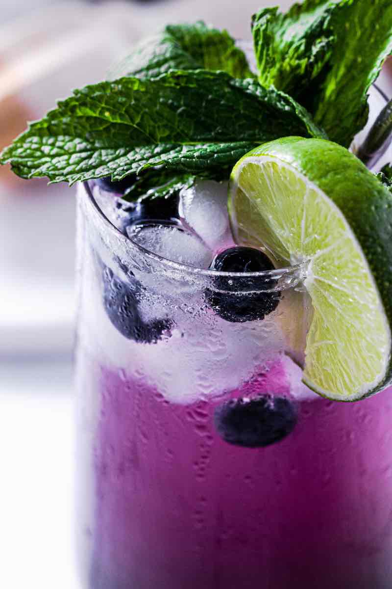 Blueberry Mojito