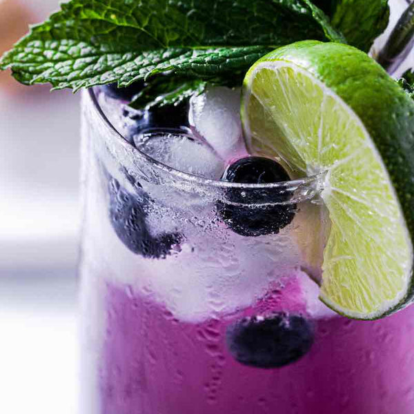 Blueberry Mojito