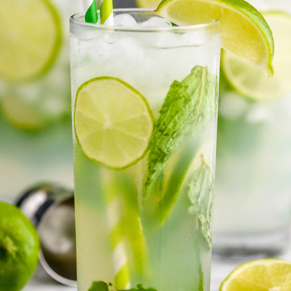 Lemon Mint Mojito