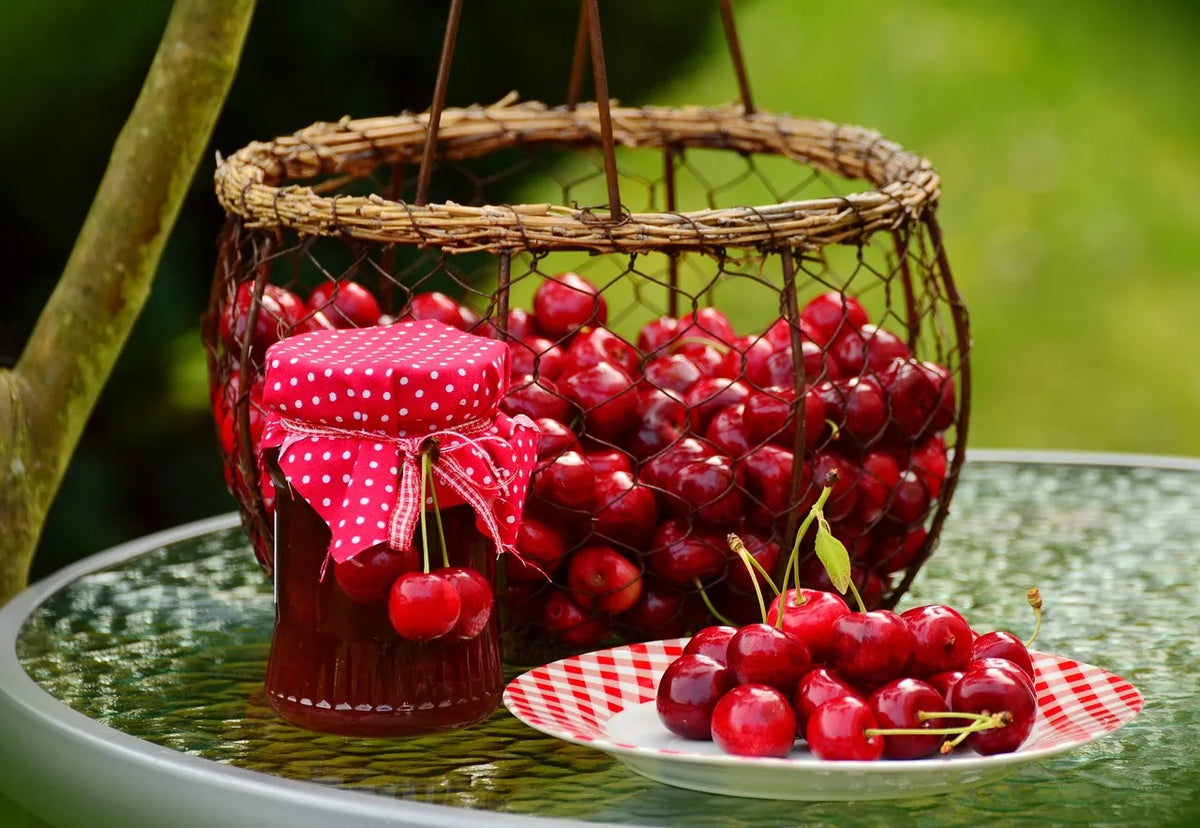 Premium Sour Cherry Jam